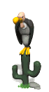Gif animé vautour cactus